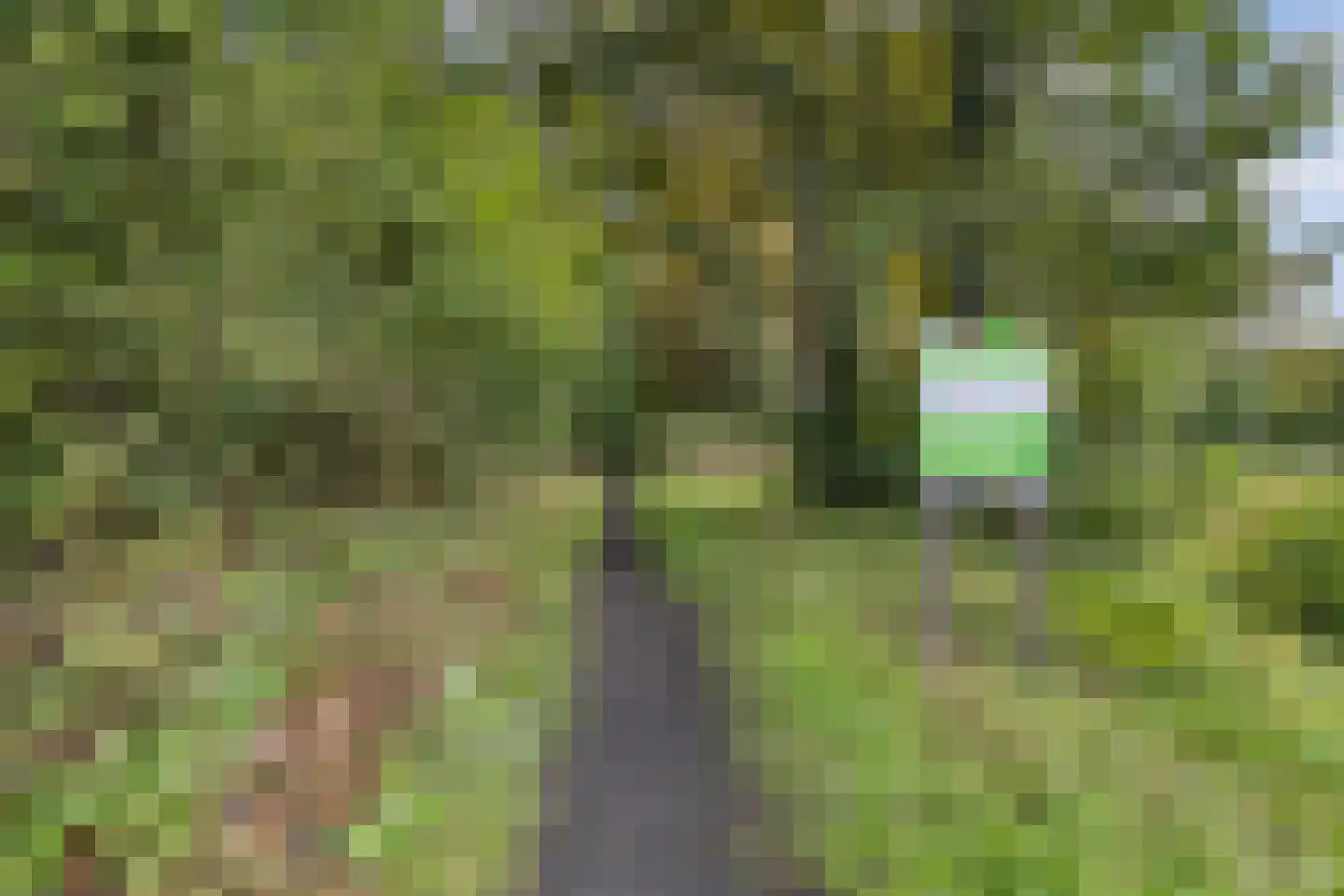 Oude Parklaan 6 Castricum thumbnail 63