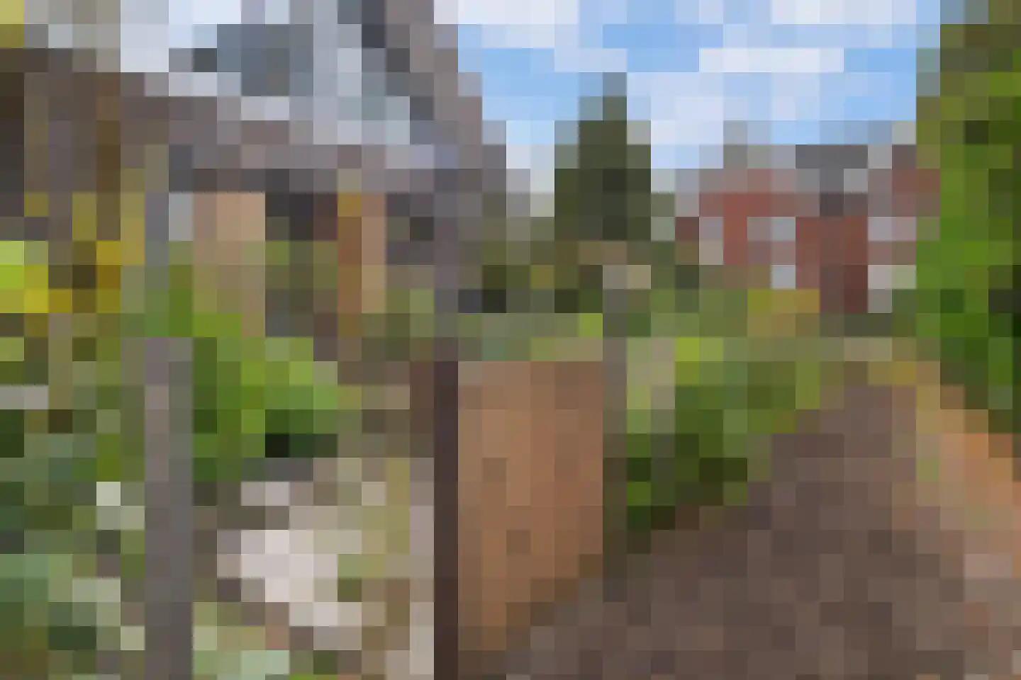 Oude Parklaan 6 Castricum thumbnail 65