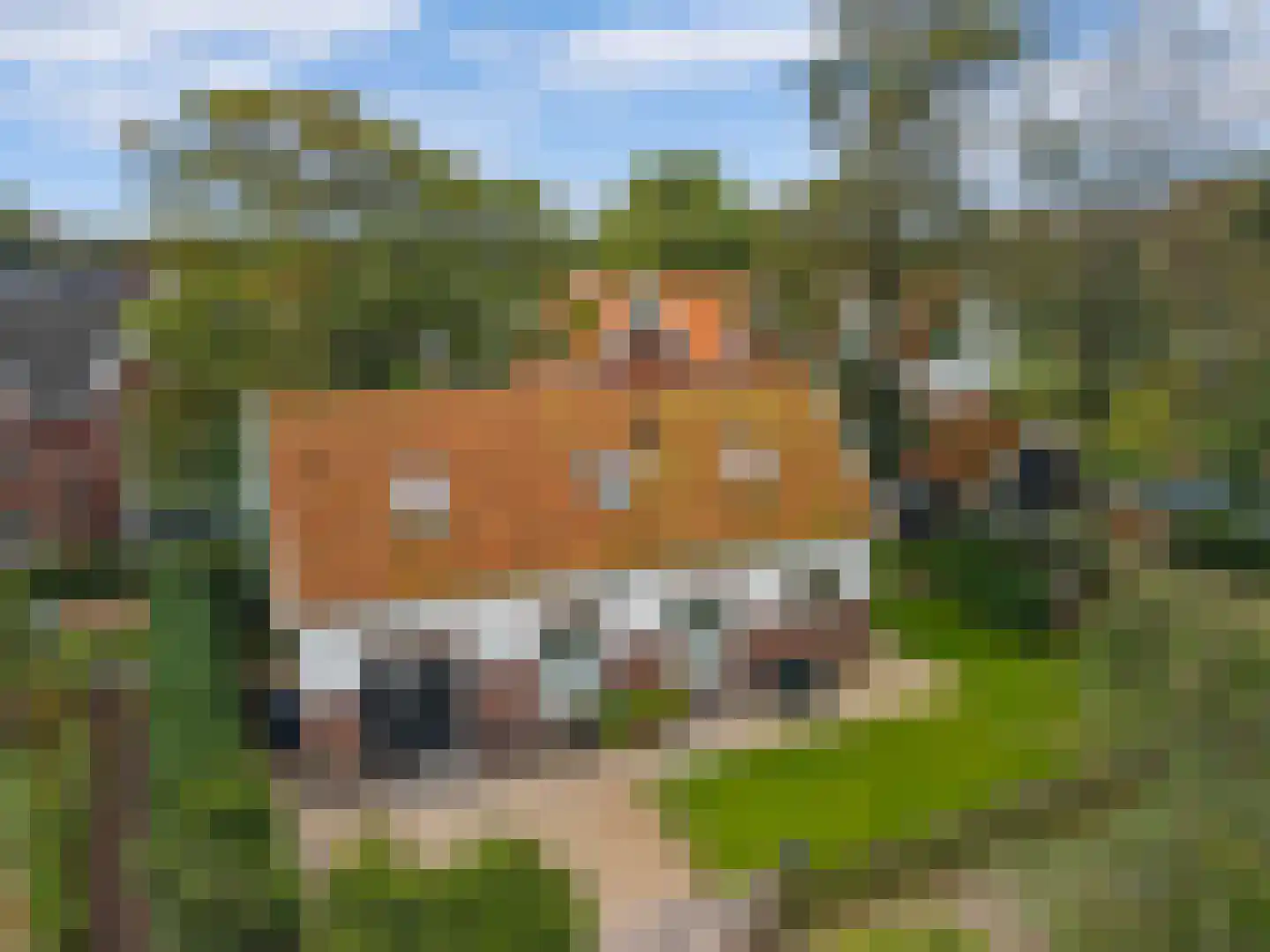 Oude Parklaan 6 Castricum thumbnail 7