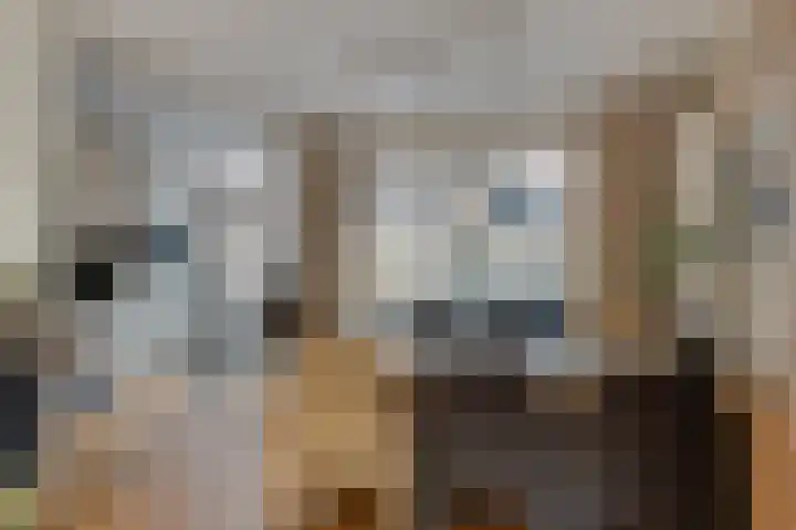 Oude Pastoriestraat 16 Maasbree thumbnail 11