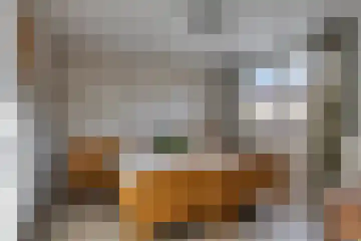Oude Pastoriestraat 16 Maasbree thumbnail 17