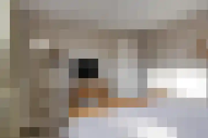 Oude Pastoriestraat 16 Maasbree thumbnail 18