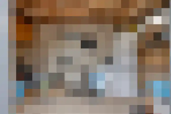 Oude Pastoriestraat 16 Maasbree thumbnail 30