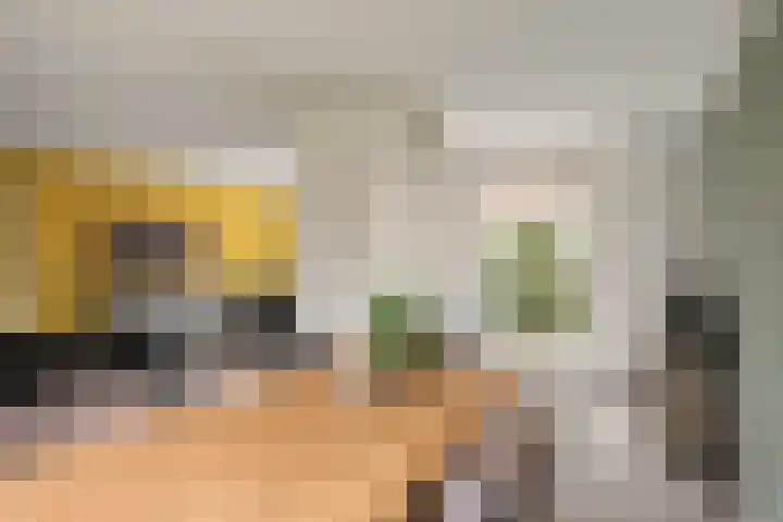 Oude Pastoriestraat 22 Maasbree thumbnail 10