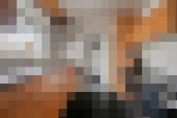 Oude Pastoriestraat 22 Maasbree thumbnail 12