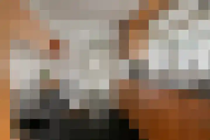 Oude Pastoriestraat 22 Maasbree thumbnail 13