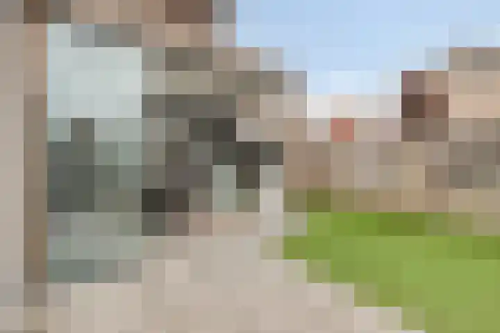 Oude Pastoriestraat 22 Maasbree thumbnail 23