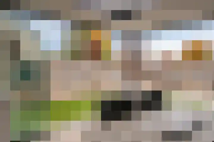 Oude Pastoriestraat 22 Maasbree thumbnail 25