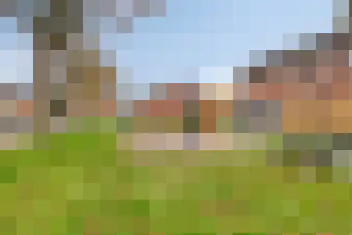 Oude Pastoriestraat 22 Maasbree thumbnail 31