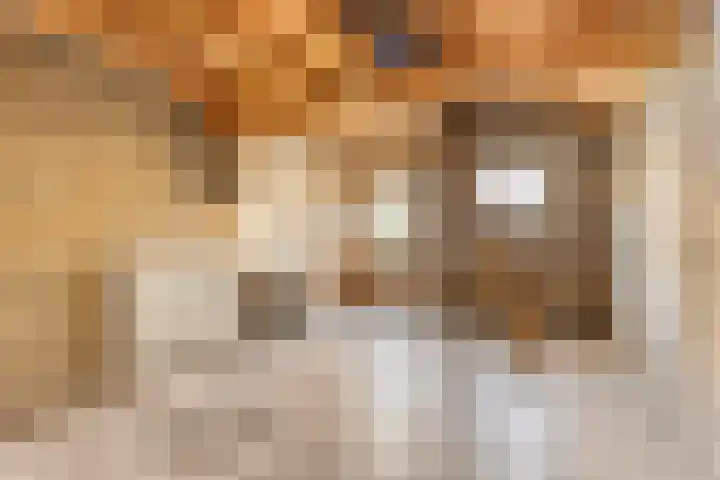 Oude Pastoriestraat 27 Maasbree thumbnail 22