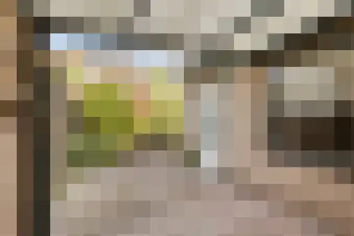 Oude Pastoriestraat 27 Maasbree thumbnail 23