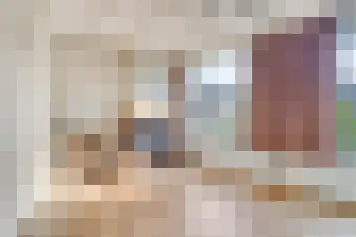 Oude Pastoriestraat 27 Maasbree thumbnail 8
