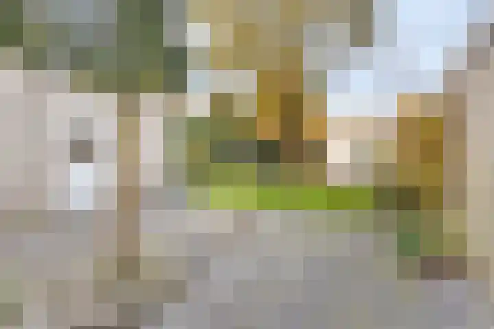 Oude Pastoriestraat 28 Maasbree thumbnail 27