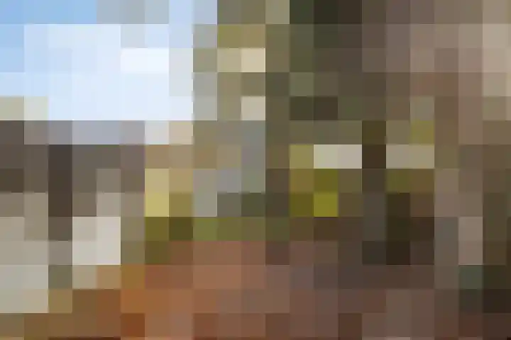 Oude Pastoriestraat 28 Maasbree thumbnail 33