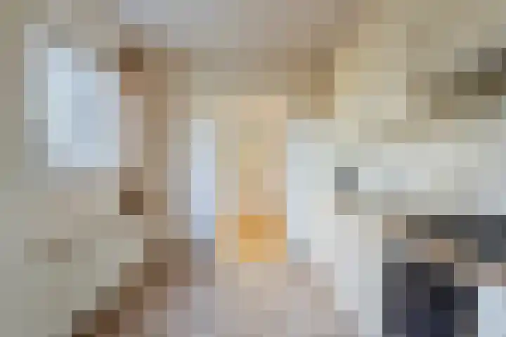 Oude Pastoriestraat 28 Maasbree thumbnail 8