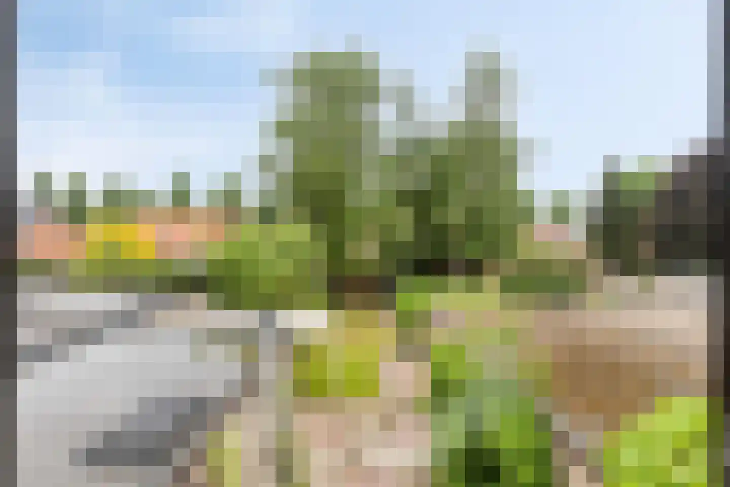 Oude Pastoriestraat 40 Maasbree thumbnail 19