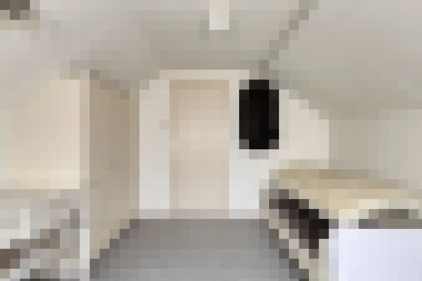 Oude Pastoriestraat 40 Maasbree thumbnail 29