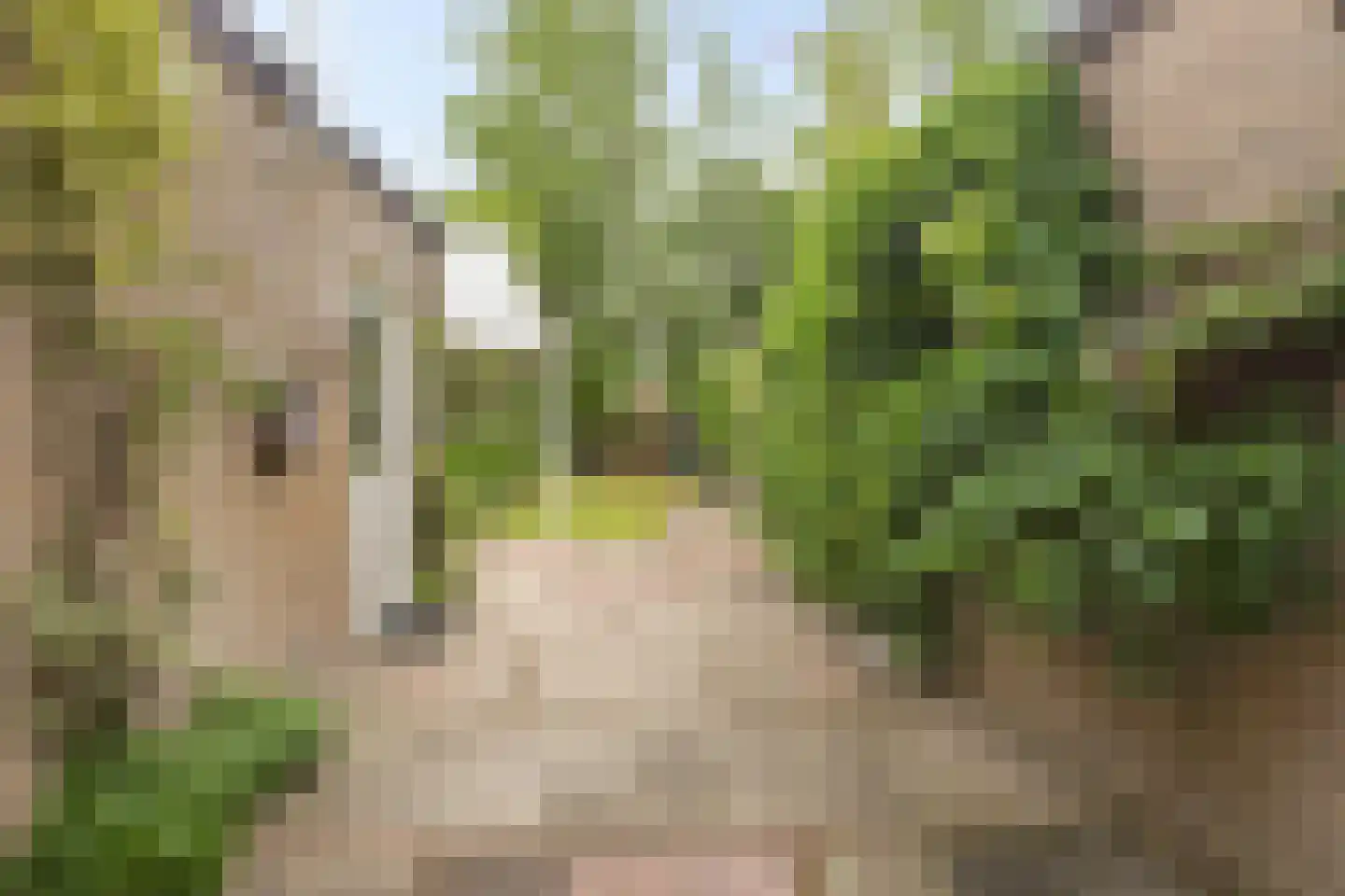 Oude Pastoriestraat 40 Maasbree thumbnail 31