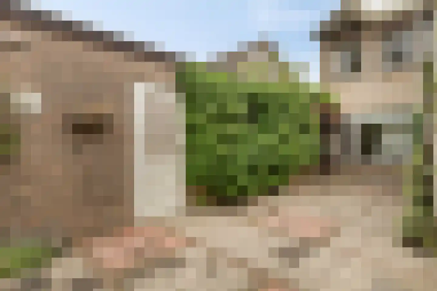 Oude Pastoriestraat 40 Maasbree thumbnail 33