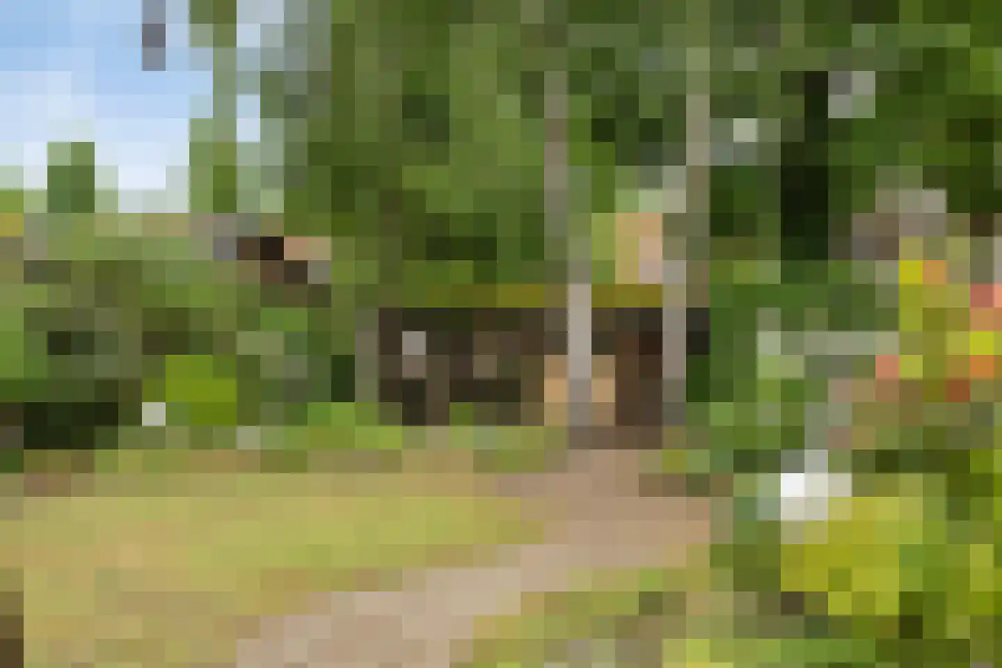 Oude Pastoriestraat 40 Maasbree thumbnail 34