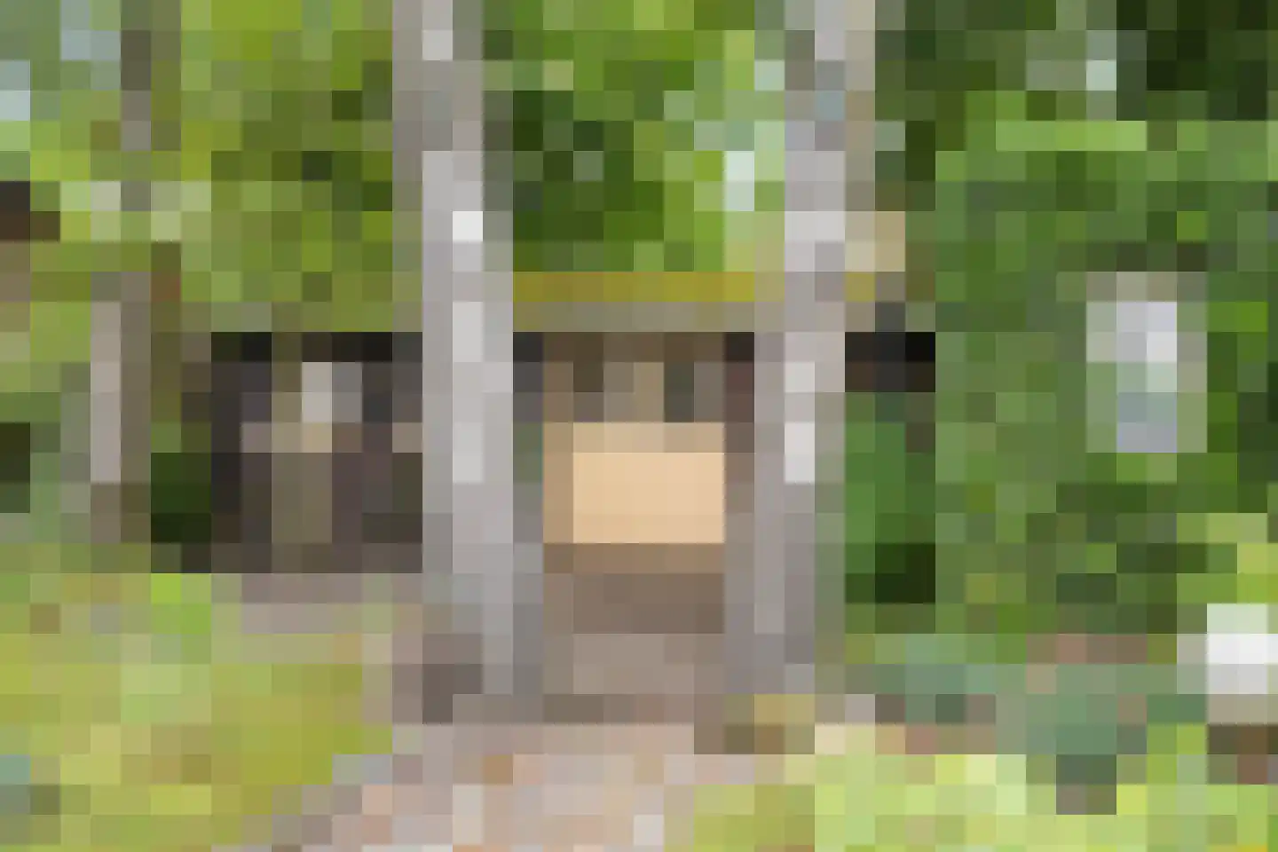 Oude Pastoriestraat 40 Maasbree thumbnail 35