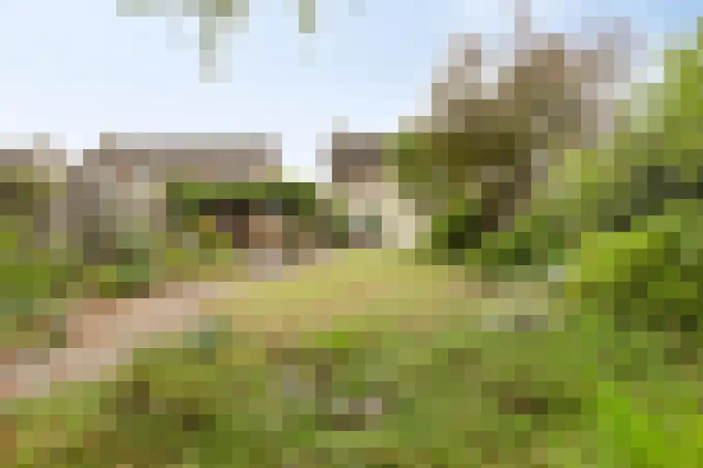 Oude Pastoriestraat 40 Maasbree thumbnail 37