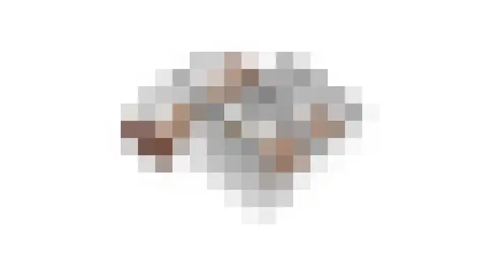 Oude Pastoriestraat 49 Maasbree thumbnail 31