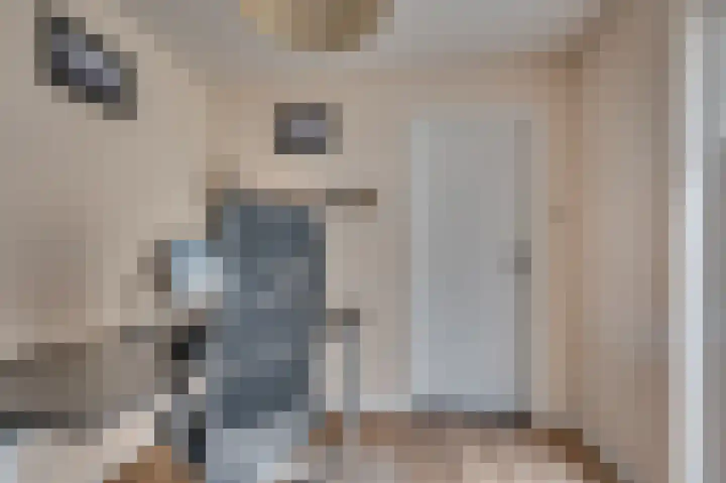 Oude Pastoriestraat 49 Maasbree thumbnail 9