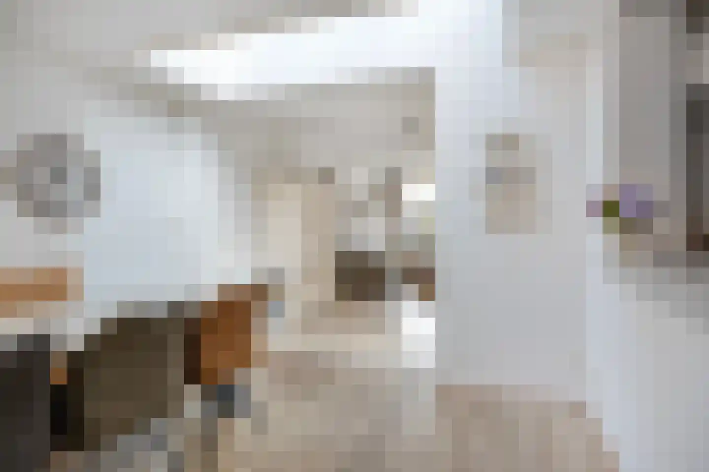Oude Pastoriestraat 70 Maasbree thumbnail 13