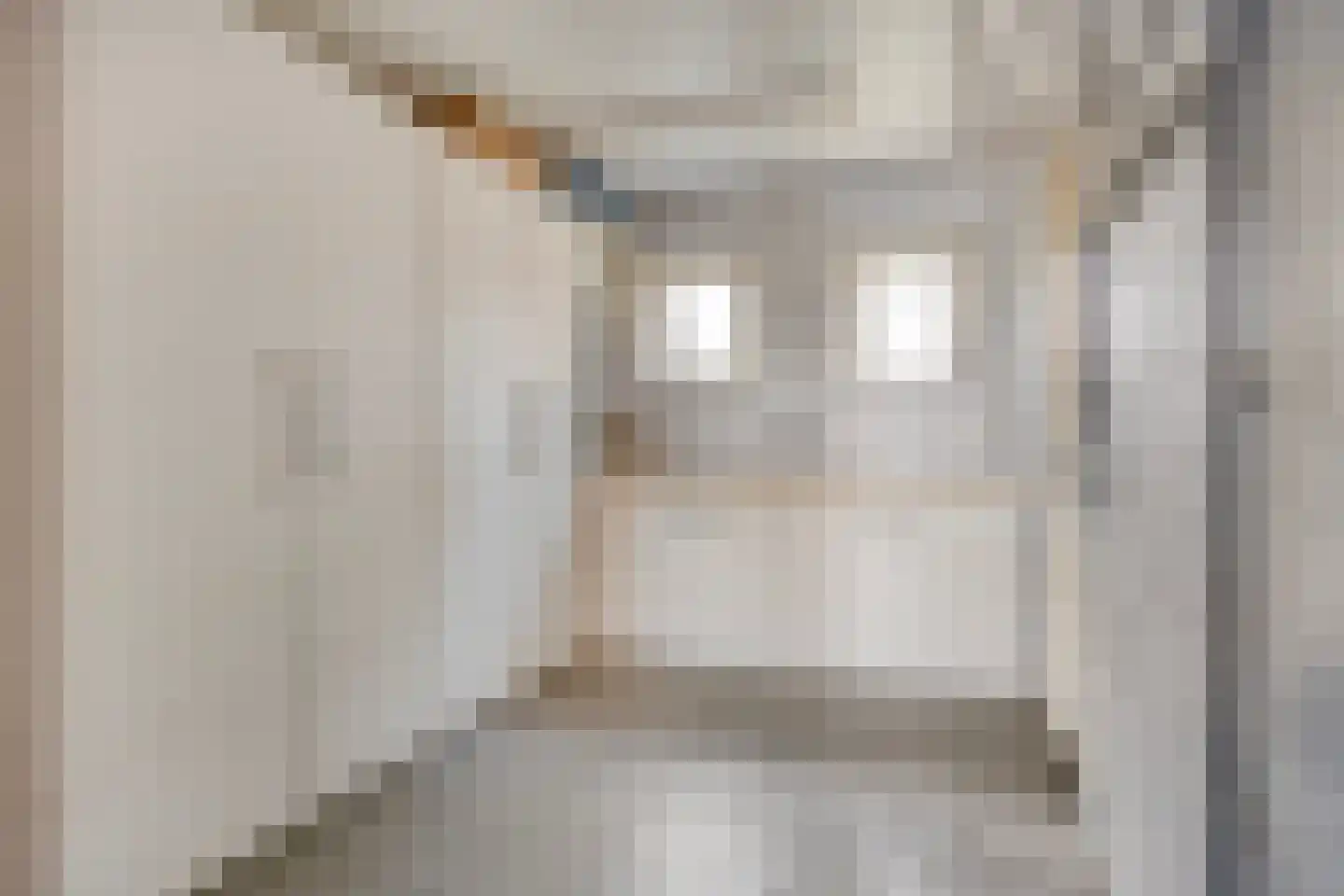 Oude Pastoriestraat 70 Maasbree thumbnail 21