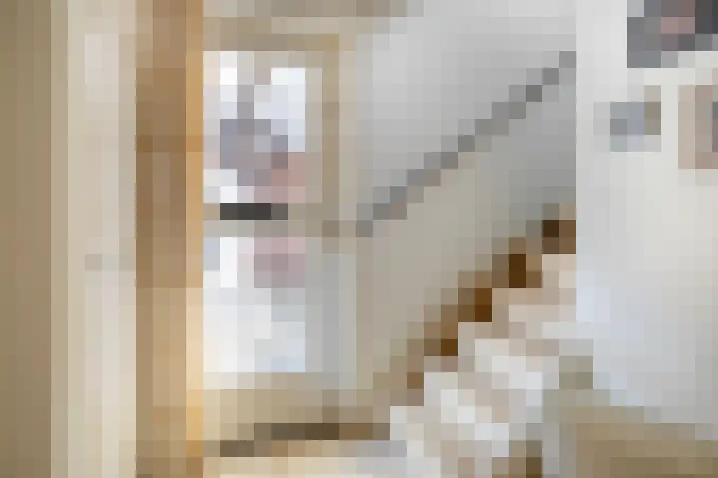 Oude Pastoriestraat 70 Maasbree thumbnail 6