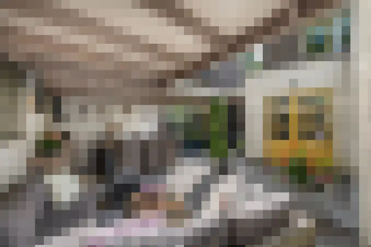 Oude Pastorieweg 18 Berlicum thumbnail 23