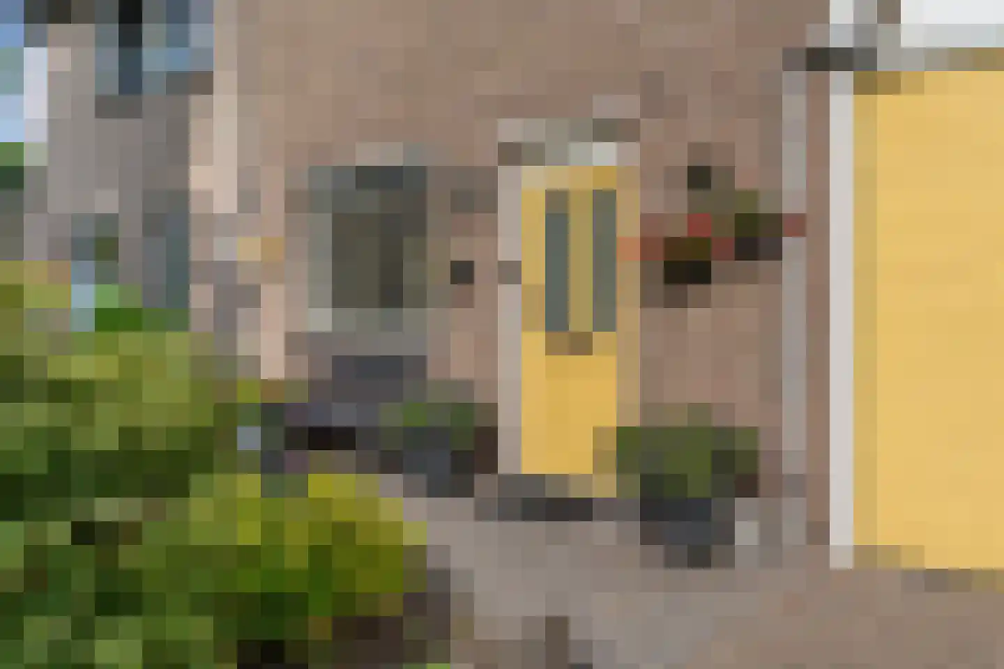 Oude Pastorieweg 18 Berlicum thumbnail 29
