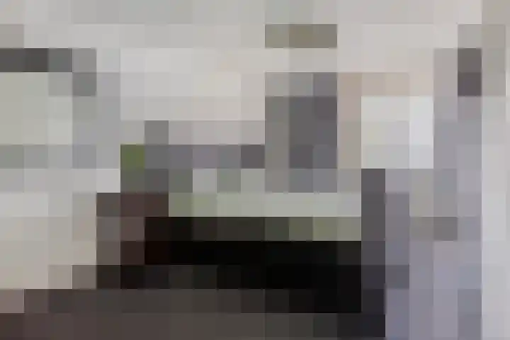 Oude Pastorieweg 30 Berlicum thumbnail 18