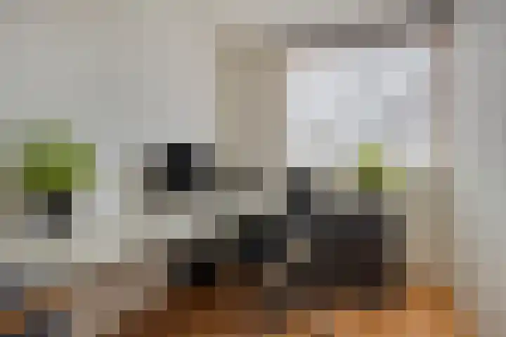 Oude Pastorieweg 30 Berlicum thumbnail 26