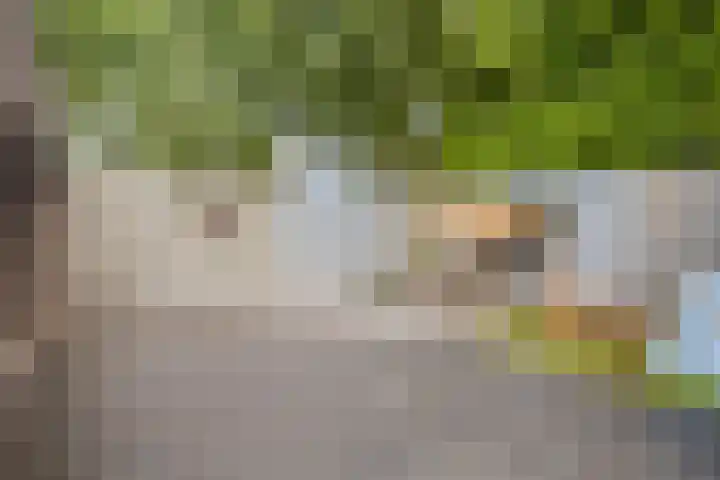 Oude Pastorieweg 30 Berlicum thumbnail 29
