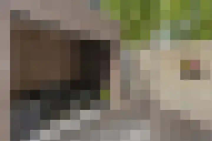 Oude Pastorieweg 30 Berlicum thumbnail 30