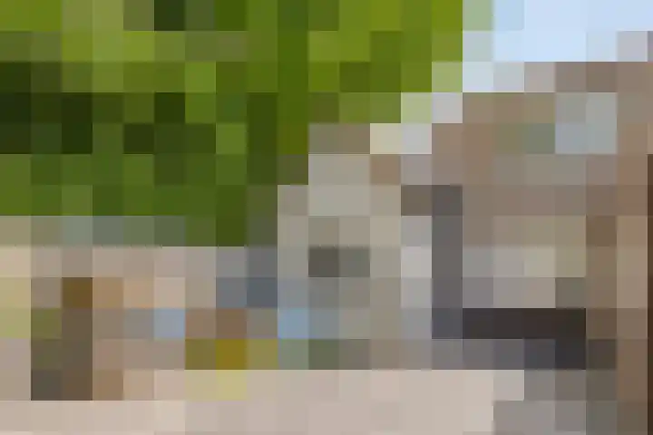 Oude Pastorieweg 30 Berlicum thumbnail 31