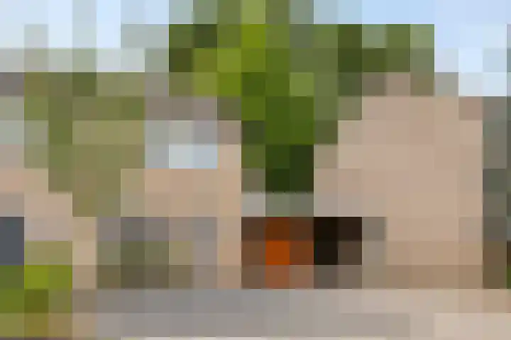 Oude Pastorieweg 30 Berlicum thumbnail 36