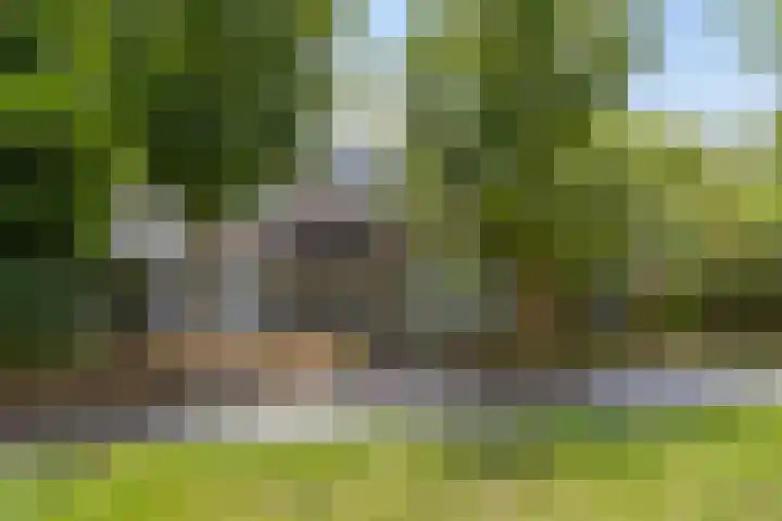 Oude Pastorieweg 30 Berlicum thumbnail 37