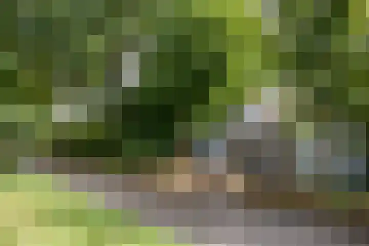 Oude Pastorieweg 30 Berlicum thumbnail 38