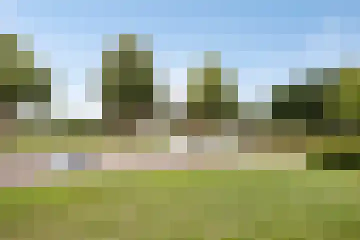 Oude Pastorieweg 30 Berlicum thumbnail 39