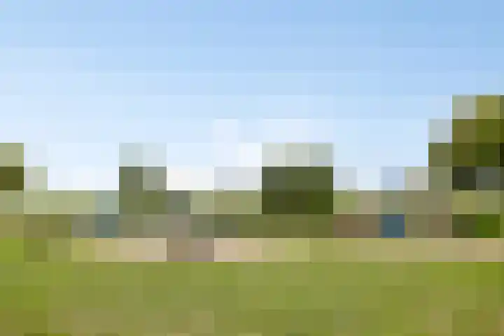 Oude Pastorieweg 30 Berlicum thumbnail 40
