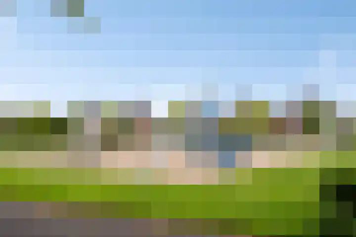 Oude Pastorieweg 30 Berlicum thumbnail 41