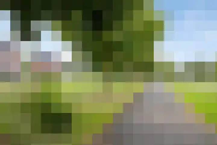 Oude Pastorieweg 30 Berlicum thumbnail 42