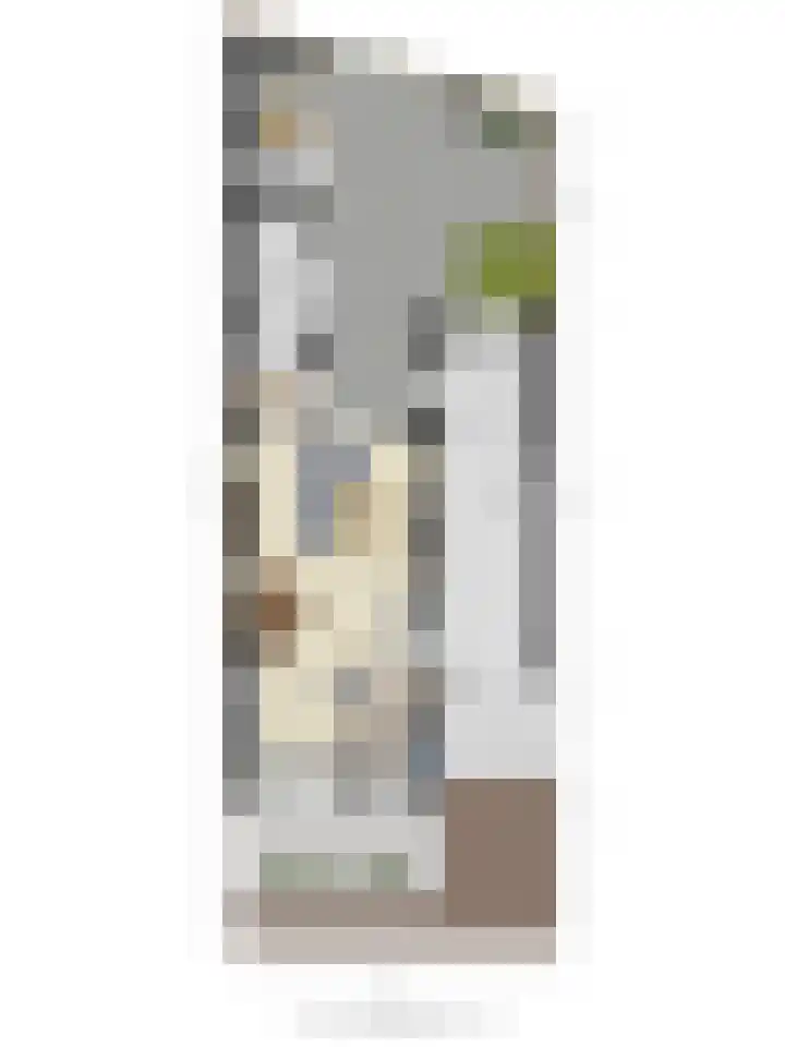 Oude Pastorieweg 30 Berlicum thumbnail 44