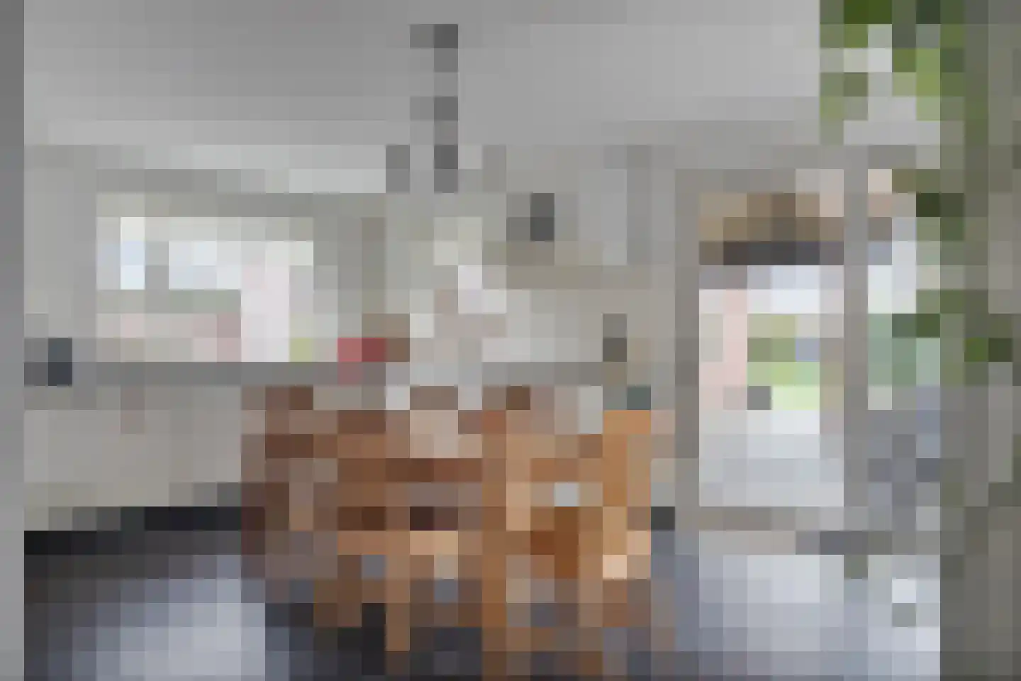Oude Pastorieweg 4 Berlicum thumbnail 13