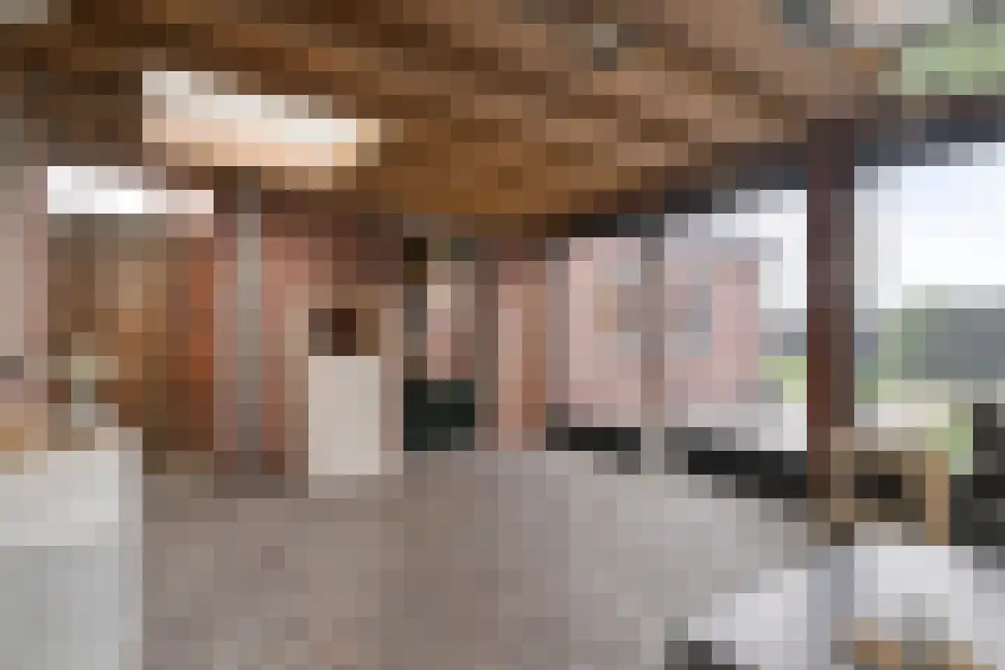Oude Pastorieweg 4 Berlicum thumbnail 32