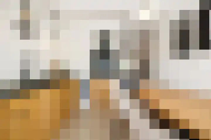 Oude Pastorieweg 50 Berlicum thumbnail 13