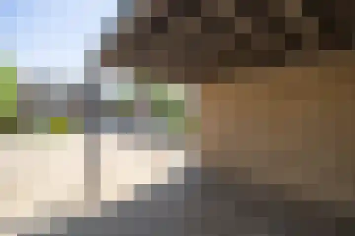 Oude Pastorieweg 50 Berlicum thumbnail 21